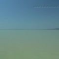p1600508