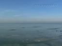 p1720465