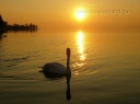 2008.02.26. Balatonföldvár