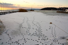 img28973