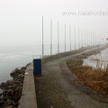 img29645