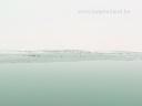 p1980420