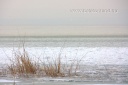 2011.02.25. Balatonszemes