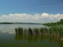 Kis-Balaton