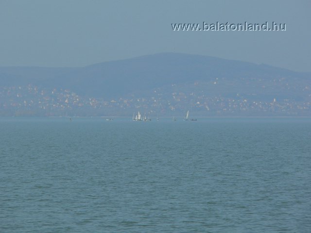 p1460567