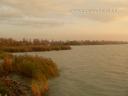 Balaton